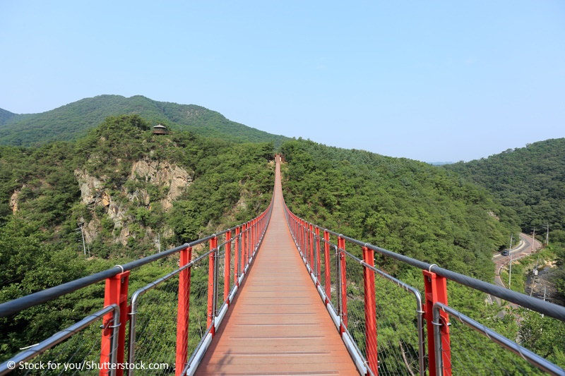 DMZ Korea hangbrug