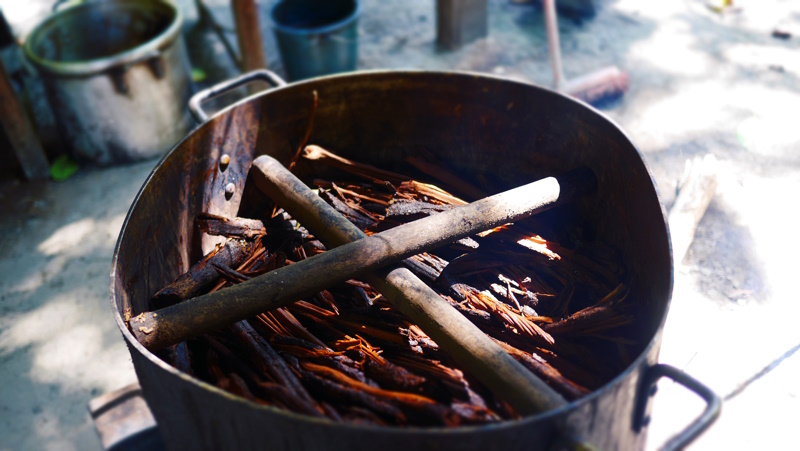 Ayahuasca ceremonie in Iquitos