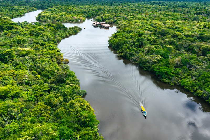 Iquitos jungle