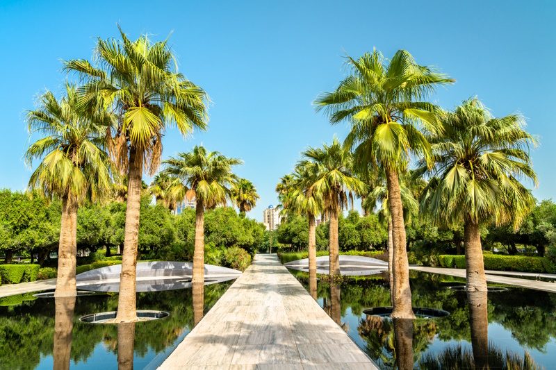 Palmbomen Al Shaheed Park Koeweit