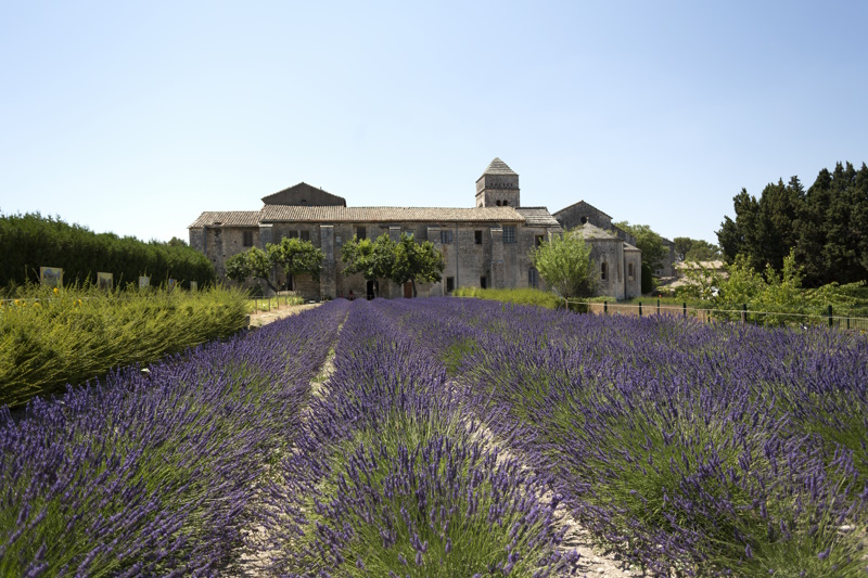 Arles lavendelvelden