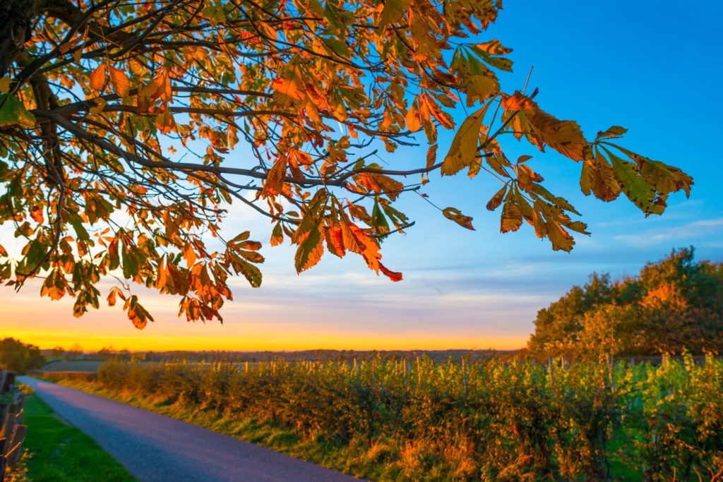 België duurzaam reizen