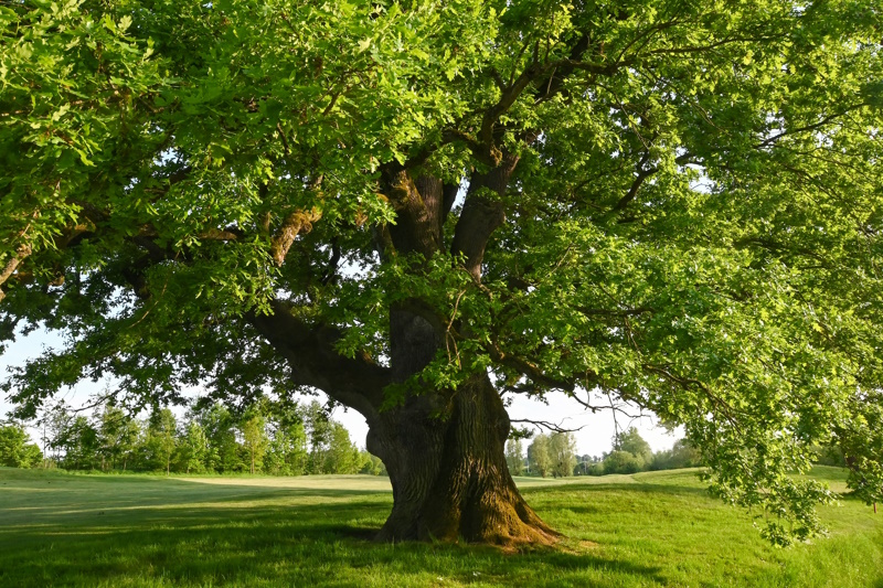 België duurzaam reizen en natuur