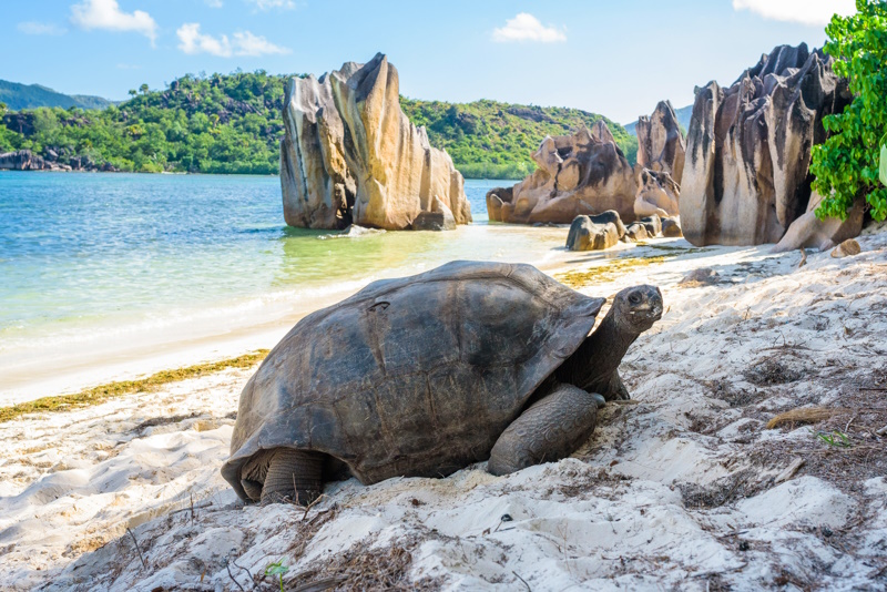 Curieuse eiland op Seychellen