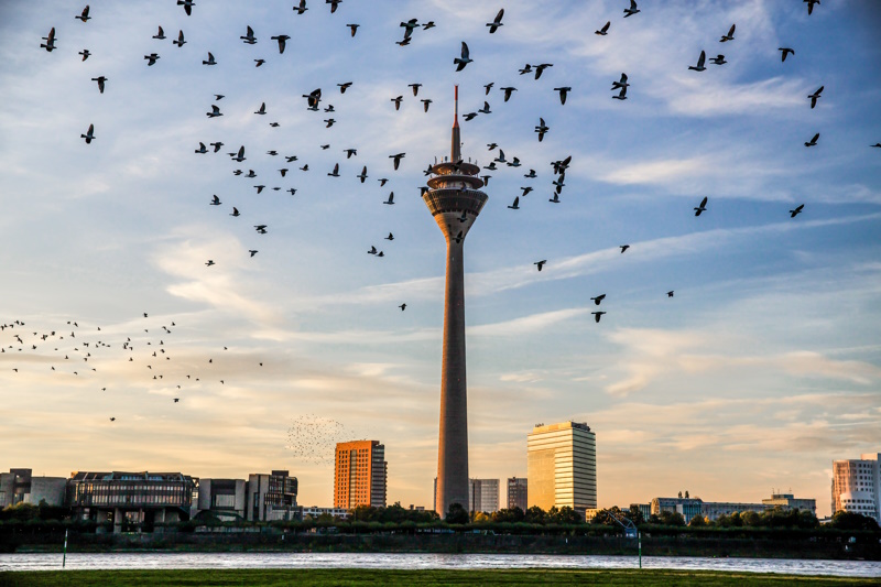 Düsseldorf Rijntoren