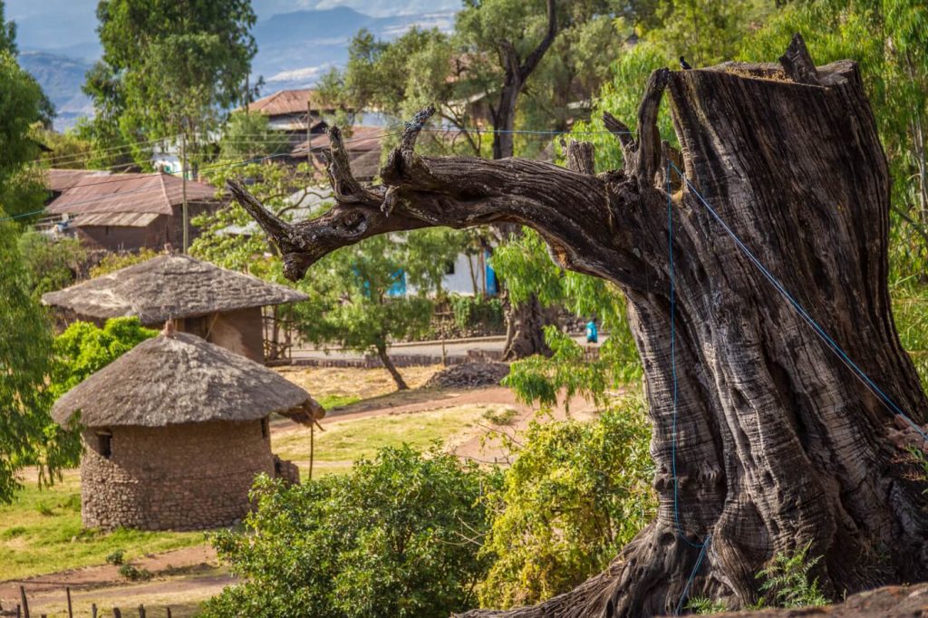 Ethiopië vakantie