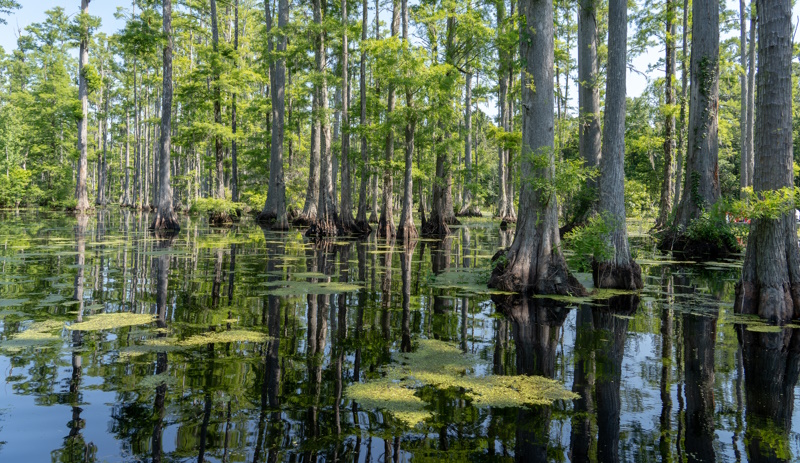 Lonely Planet 2025 en South Carolina