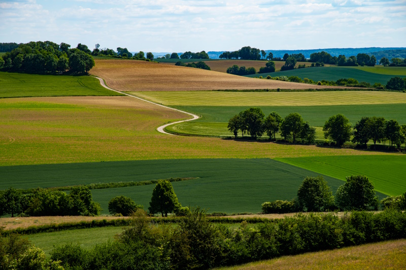 Nederland roadtrip heuvels