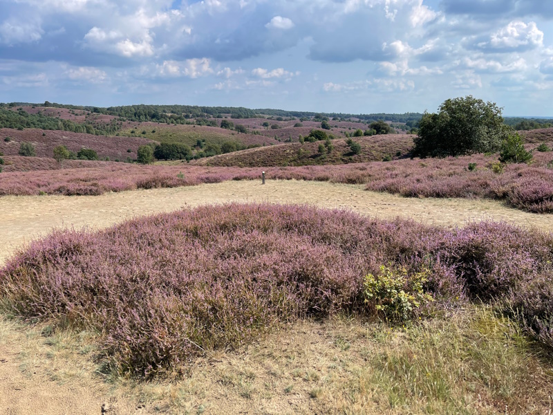 Nederland roadtrip Veluwe