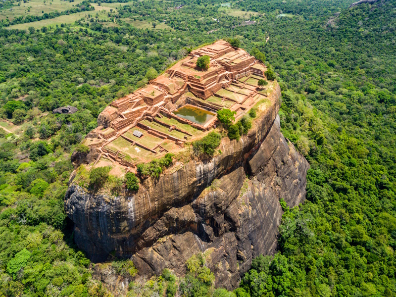 Leeuwenrots in Sri Lanka