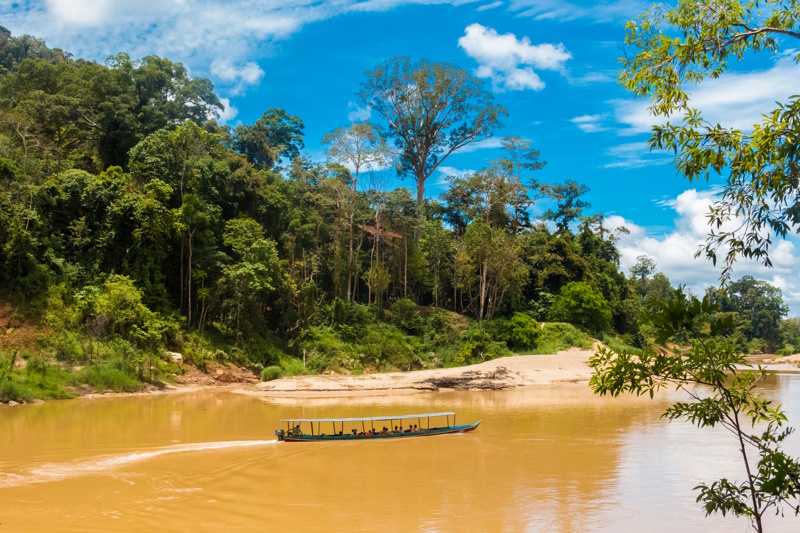 Taman Negara boottocht