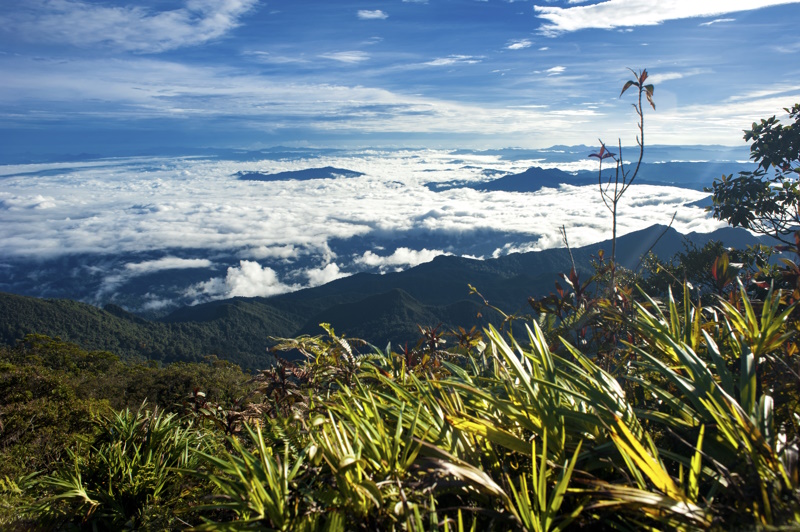 Taman Negara Gunung Tahan