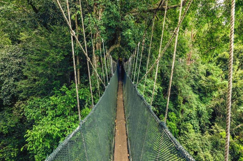 Taman Negara hangbrug