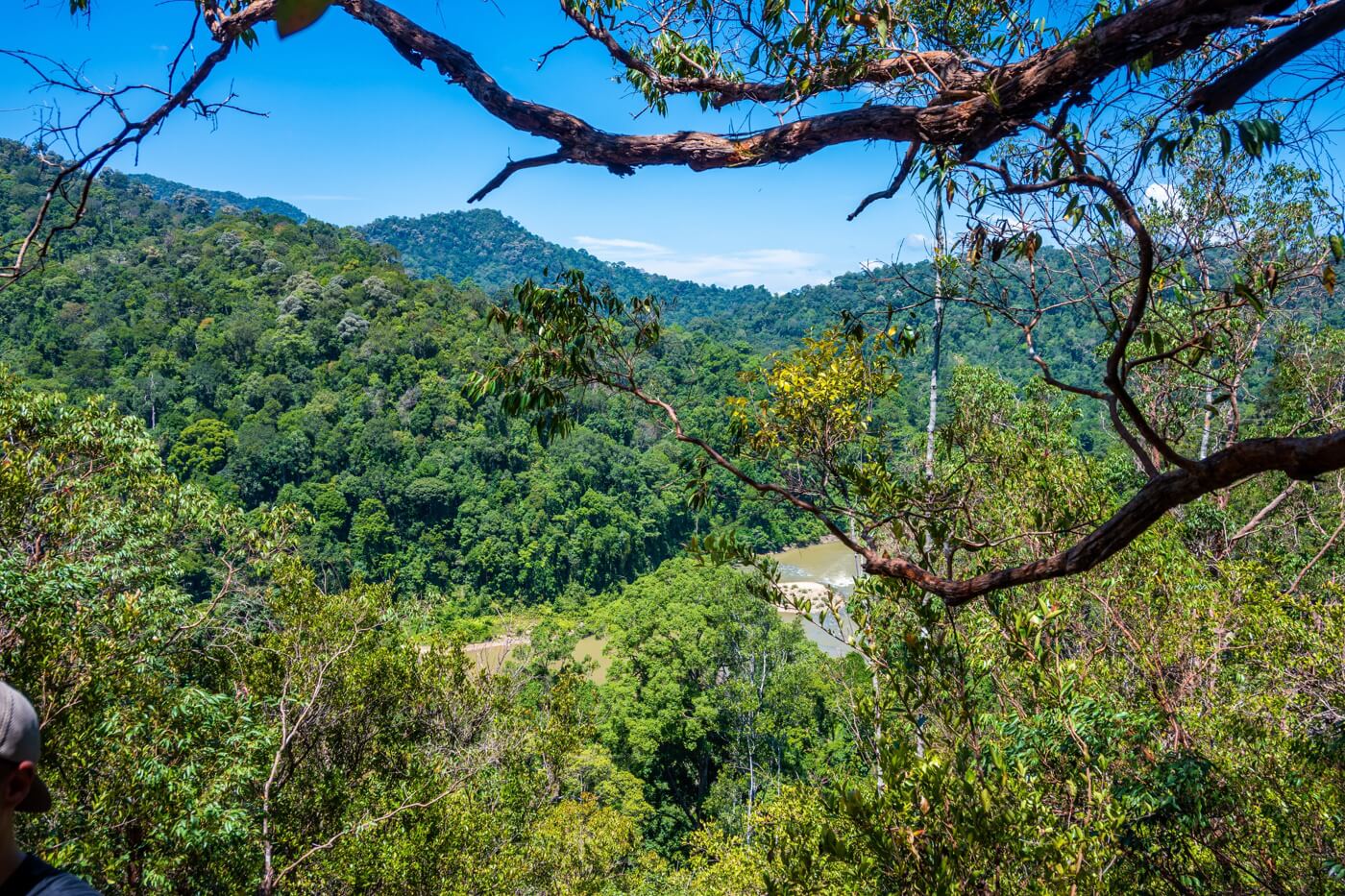 Taman Negara National Park