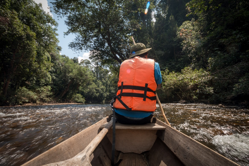 Taman Negara raften