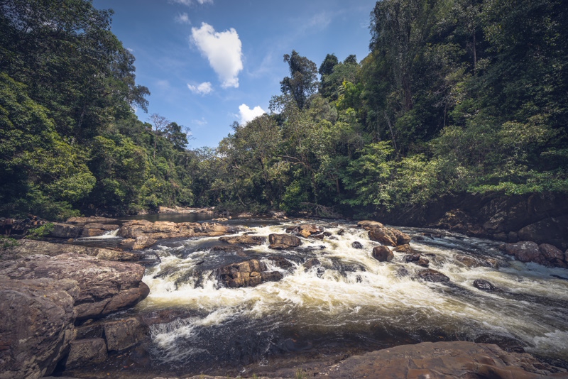 Taman Negara watervallen