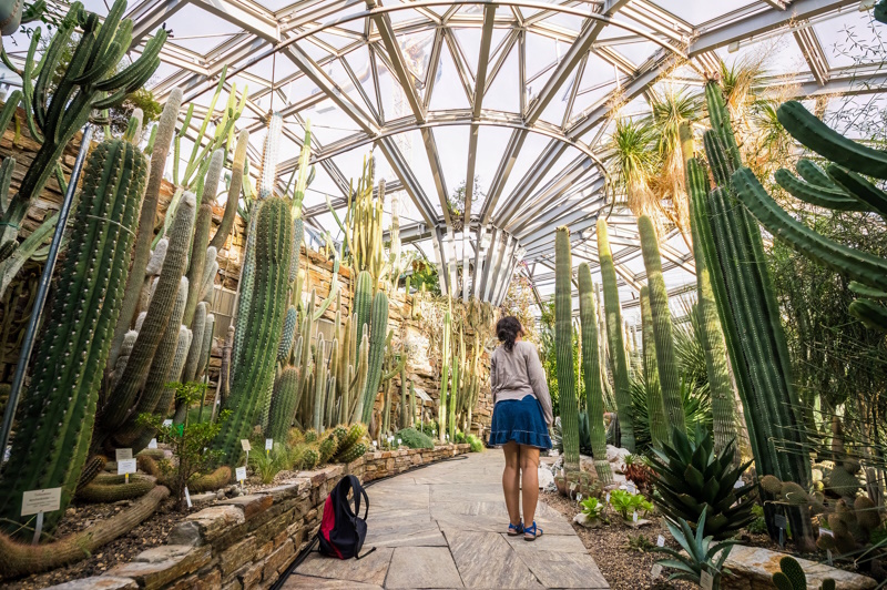 Botanische Tuin in Berlijn