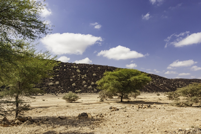 Grand Bara woestijn Djibouti