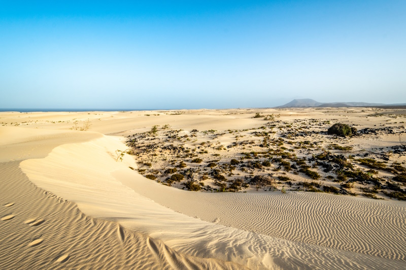 El Jable duinen in Fuerteventura