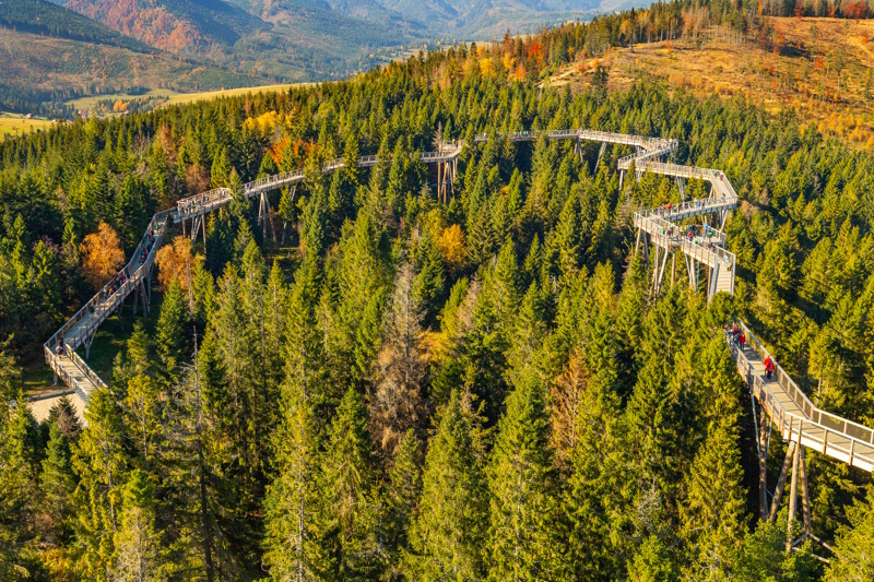 Hoge Tatra Bachledka Treetop Walk