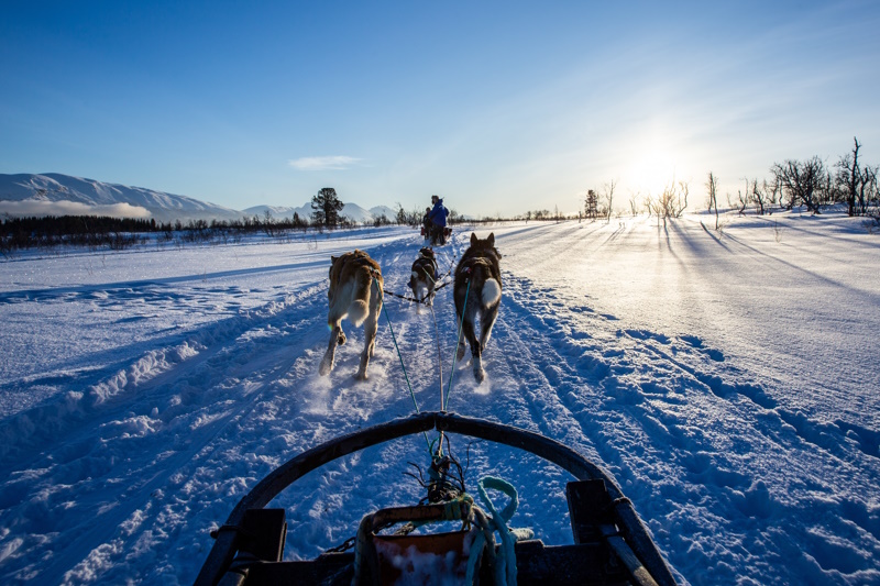 Lillehammer huskytour