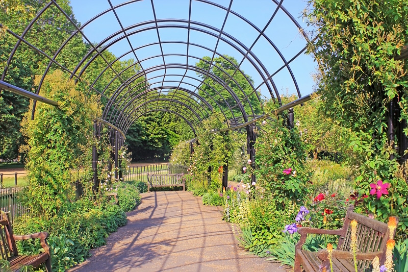 Rose Garden Hyde Park Londen