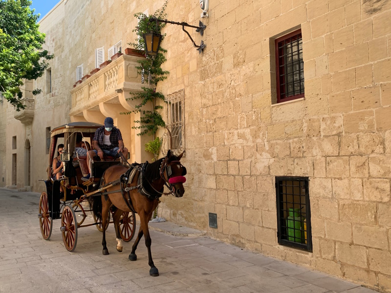 Mdina paardenkoets