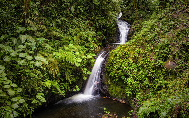 Waterval Monteverde Cloud Forest