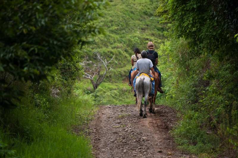 Monteverde paardrijden