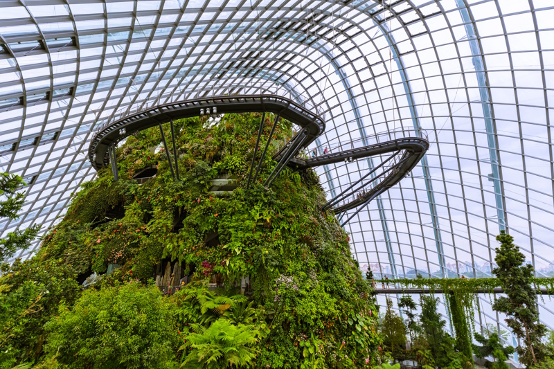 Singapore Cloud Forest Dome