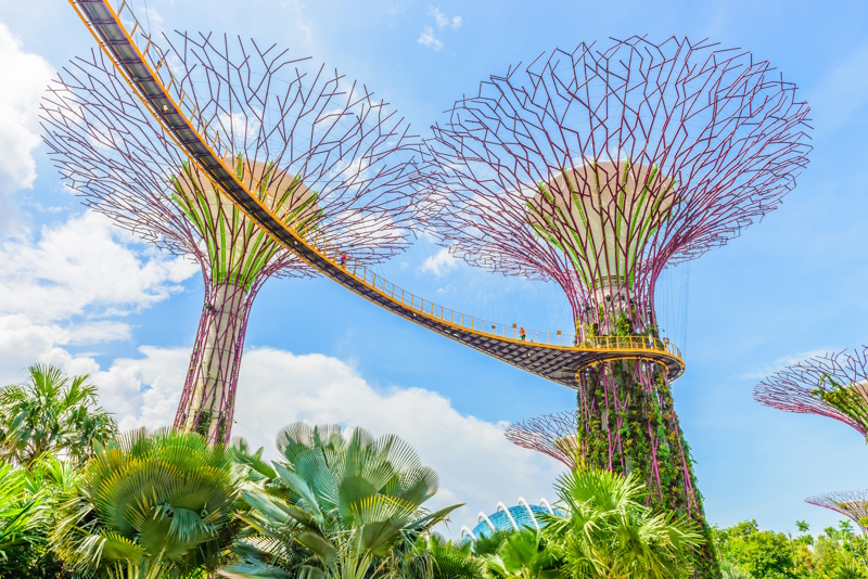 Singapore Supertrees