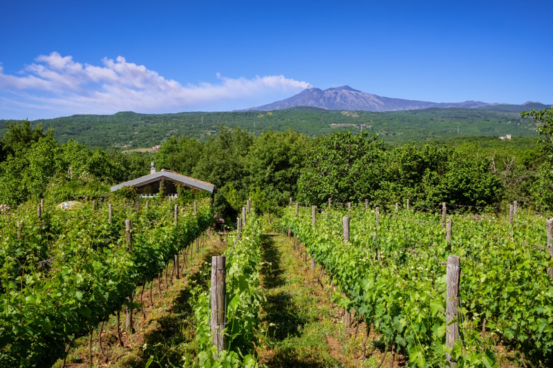 Sterrenbeeld vakantie Sicilië