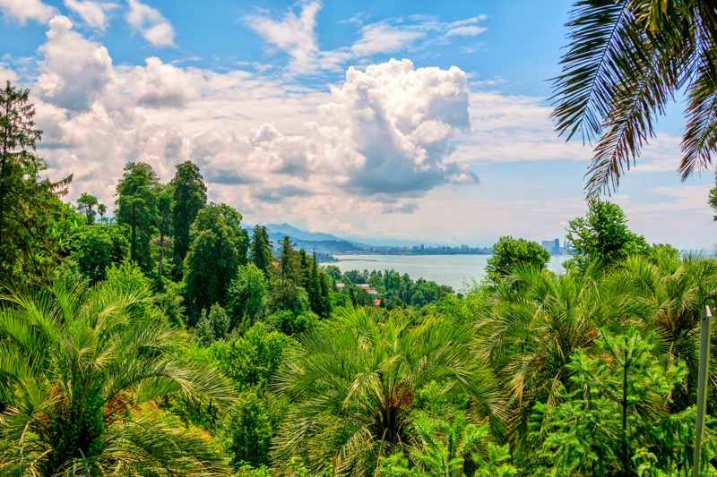 Uitzicht botanische tuin Batumi