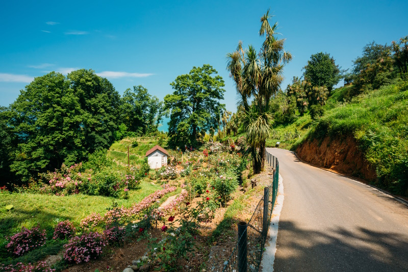 Botanische tuin in Batumi