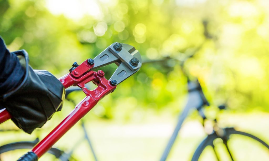 Fietsvakantie diefstal voorkomen