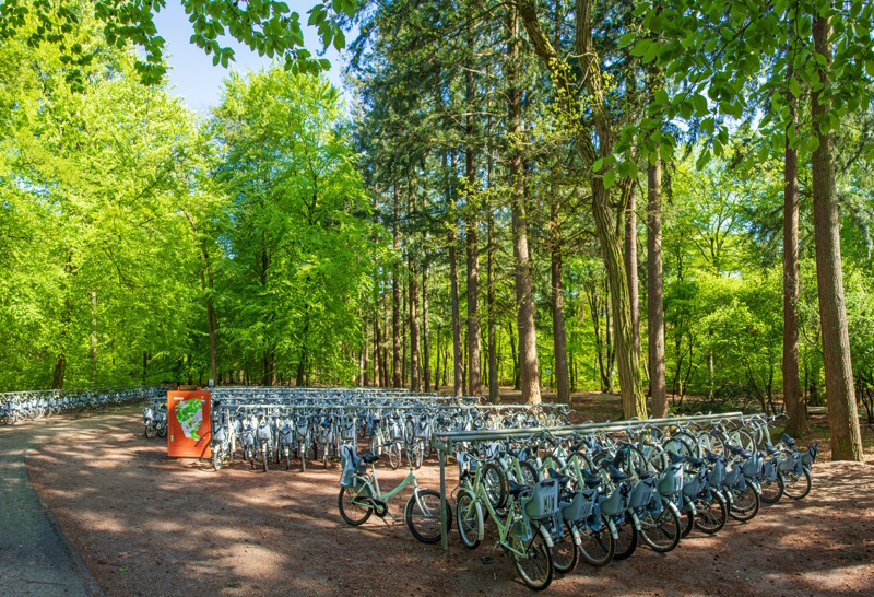 Witte Fietsen Nationaal Park Hoge Veluwe Gelderland