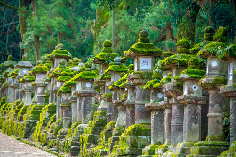 Nara tempel lantaarns