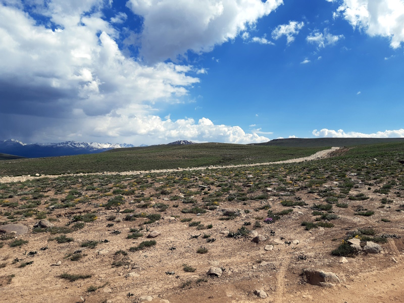 Hooogvlakte Deosai National Park Pakistan