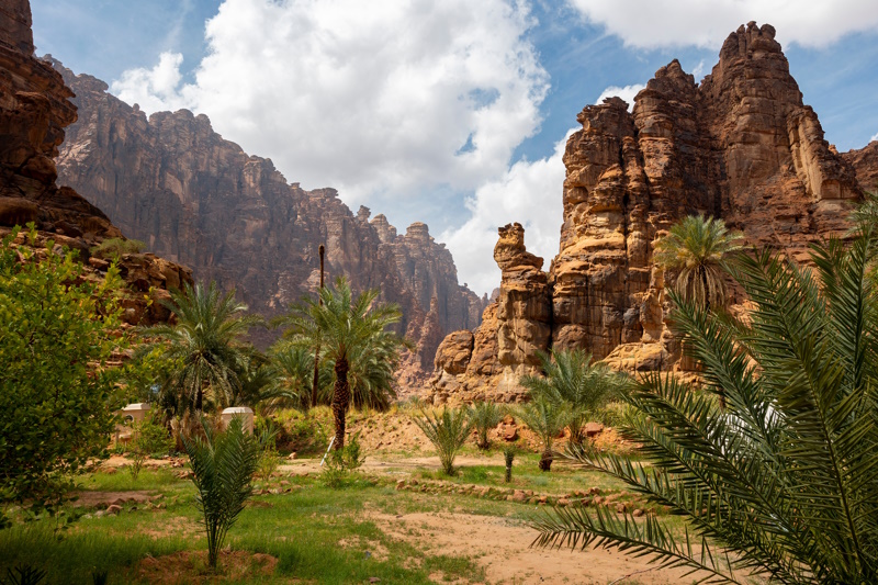 Wadi Al Disah Saoedi-Arabië