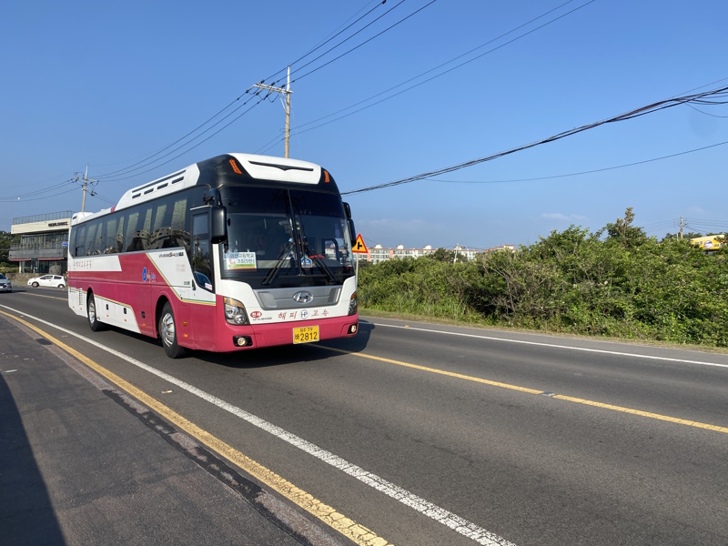 Jeju bus