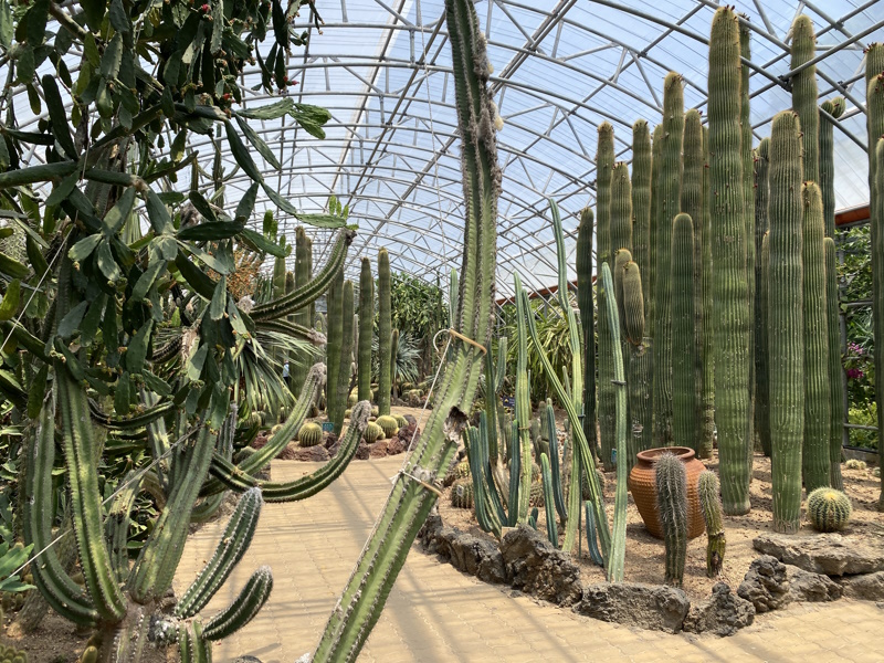Botanische tuin Hallim Park op Jeju