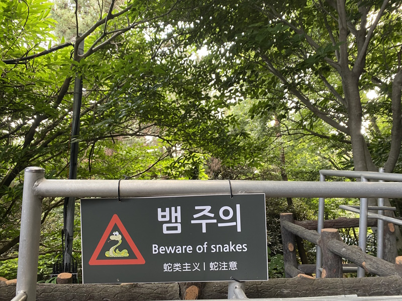 Jeju Sanbangsan slangen