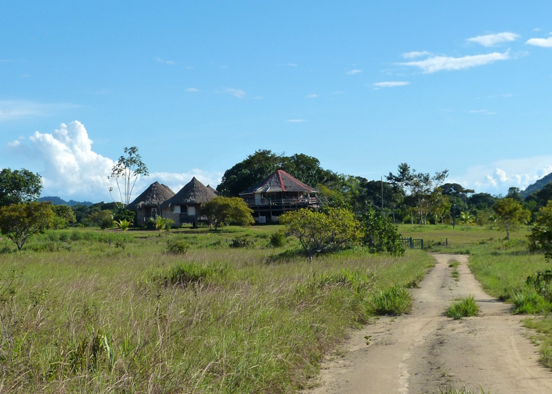 Guyana inheemse hut