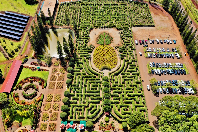Dole Plantation in Hawaii