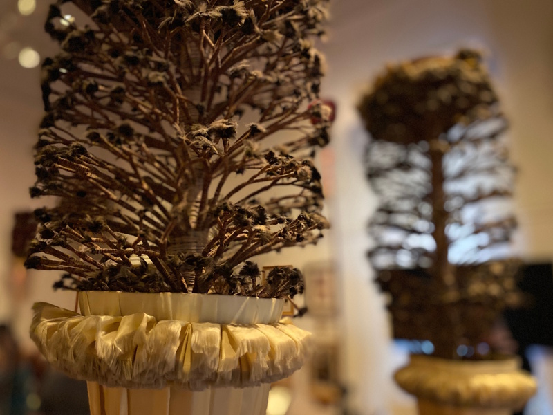 Hawaii Honolulu Bishop Museum