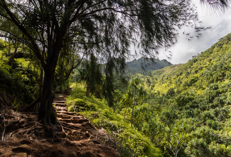 Kalalau Trail wandelpad Hawaii