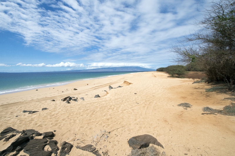 Hawaii Lanai strand