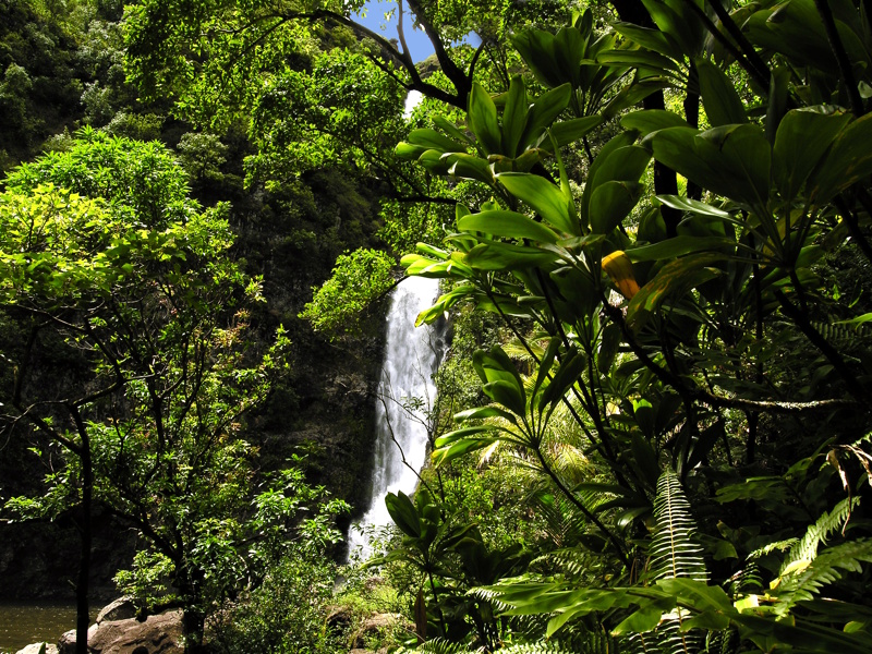 Hawaii Molokai waterval