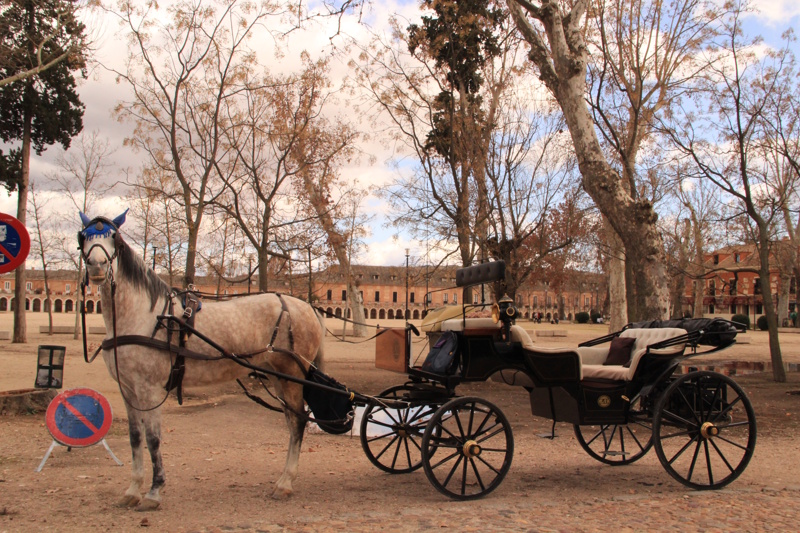 Aranjuez paardenkoets