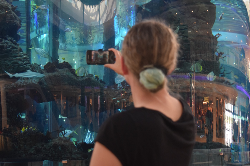 Morocco Mall in Casablanca